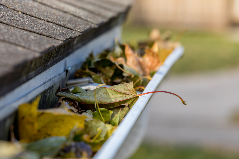 How frequently should your home’s gutters be cleaned?