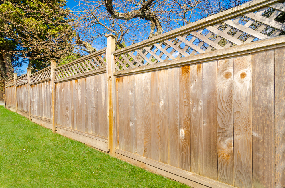 Do You Really Need a Garden Fence?